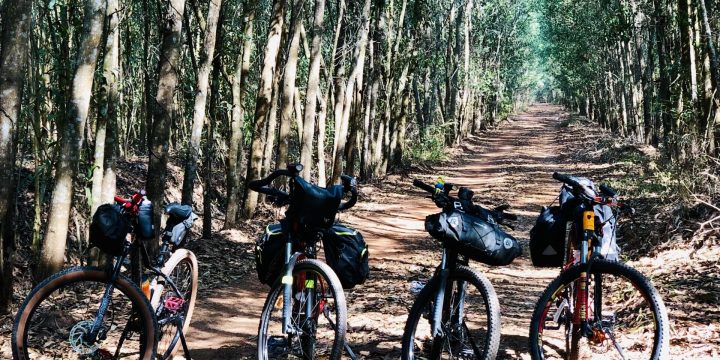 4 Bikes Standing on Trail