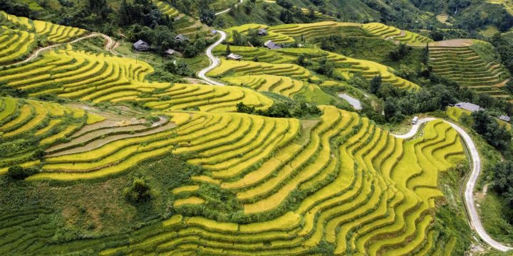 Ha Giang Loop Rice Field Terraces Wide Shot