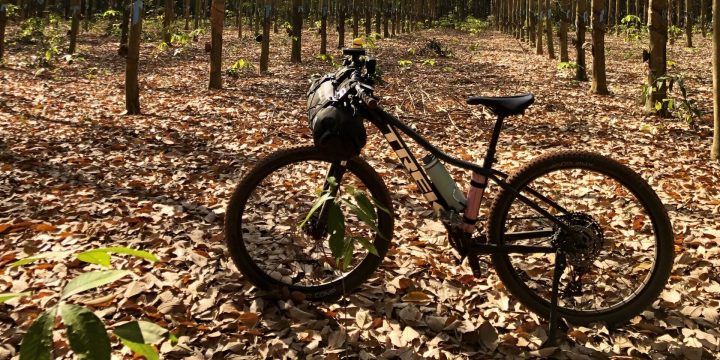 Single Bike from Standing From Side on Trail